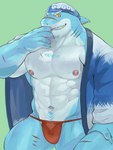 abs anthro asian_clothing blue_body bulge clothing east_asian_clothing fundoshi grin japanese_clothing kerchief male muscular muscular_anthro navel nipples pecs red_clothing red_fundoshi red_underwear scar sharp_teeth smile solo teeth underwear yellow_eyes fug@9 lifewonders live_a_hero isaribi fish marine shark 3:4