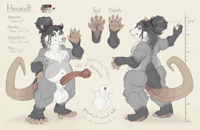 animal_genitalia animal_penis anthro balls big_balls big_penis equine_genitalia equine_penis flared_penis genitals huge_balls huge_penis hyper male medial_ring moobs opposable_toe overweight overweight_male penis solo text hexacult hexposs_(hexacult) american_opossum mammal marsupial absurd_res english_text hi_res model_sheet
