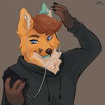 anthro blue_ear blue_eyes blue_tongue clothing earbuds electronics grey_clothing grey_hoodie grey_topwear headphones hoodie looking_at_object looking_at_phone male phone solo tongue topwear borkboifen nolan_the_fox canid canine fox mammal red_fox true_fox 1:1 2021 hi_res