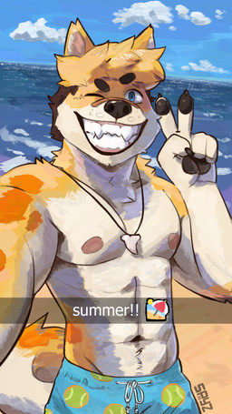 abs anthro athletic bandage bandage_on_face beach caption clothing emoji gesture hand_gesture looking_at_viewer male muscular navel nipples one_eye_closed pawpads pecs sea selfie shark_tooth_necklace shoreline smile solo summer swimwear text v_sign water wink spyz_(artist) art_fight artfight2025 canid canine canis domestic_dog mammal shiba_inu spitz 2025 hi_res shaded soft_shading