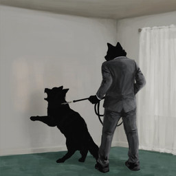 anthro athletic athletic_anthro athletic_male biped black_body black_fur clothing duo feral fur leash leash_pull male quadruped suit avianvevo canid canine canis mammal wolf 1:1 2024 hi_res
