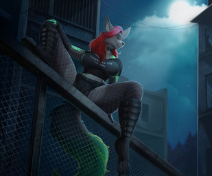 4_toes anthro biped bottomwear breasts claws clothed clothed_anthro clothed_female clothing cloud countershade_fur countershade_torso countershading feet female finger_claws fingers footwear front_view fully_clothed fully_clothed_anthro fully_clothed_female fur green_eyes grey_body grey_fur grey_tail hair looking_at_viewer moon night outside pants red_hair shirt shoes sitting sky smile solo star tail teeth toe_claws toes topwear veliren_rey canid canine mammal 2026 digital_drawing_(artwork) digital_media_(artwork) hi_res