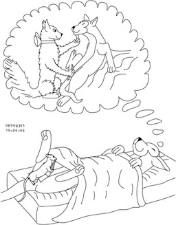 animal_genitalia anus balls dream duo erection female feral fur genitals interspecies licking male male/female nude_male oral penile penis penis_lick sex sheath simple_background size_difference sleeping smile tail tongue white_background urbanhermit domestic_cat felid feline felis mammal murid murine rat rodent 1979 20th_century ancient_art black_and_white dated monochrome