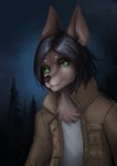 anthro black_hair brown_body brown_fur clothed clothed_anthro clothing fur glistening glistening_hair green_eyes hair jacket mane popped_collar smile smiling_at_viewer smirk smirking_at_viewer solo tan_body tan_fur topwear pesets frashsa canid canine canis fox hybrid mammal wolf absurd_res hi_res