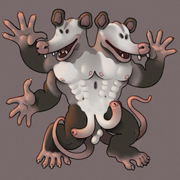 3_arms abs anthro bald_tail belly brown_body brown_fur conjoined curved_penis duo erection fangs foreskin fur genitals glans long_muzzle long_penis male multi_arm multi_head multi_limb muscular muscular_male mutated mutation nipples pecs penis pink_glans pink_nipples pink_nose pink_palms pink_soles pink_tail simple_background small_eyes smile tail teeth thin_tail white_belly ravuer american_opossum mammal marsupial 1:1 hi_res
