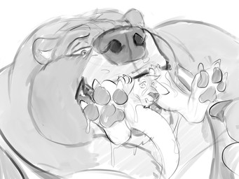 anthro bodily_fluids claws drooling duo feet in_mouth male male_pred male_prey narrowed_eyes nude oral_vore overweight overweight_anthro overweight_male pawpads saliva spread_toes toe_claws toes vore solaxe_(artist) solaxe bear kangaroo macropod mammal marsupial 4:3 hi_res monochrome sketch