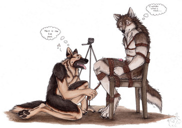 anatomically_correct anatomically_correct_genitalia anatomically_correct_penis animal_genitalia animal_penis anthro anthro_on_anthro bdsm black_nose bondage bound brown_body brown_fur camera canine_genitalia canine_penis duo fur genitals kneeling logo male male/male multicolored_body multicolored_fur nude open_mouth orange_eyes penis penis_tip restraints rope rope_bondage sheath side_view simple_background sitting tail tan_body tan_fur teeth text thought_bubble tongue tongue_out two_tone_body two_tone_fur white_background white_body white_fur kola_(artist) canid canine canis domestic_dog german_shepherd herding_dog mammal pastoral_dog wolf 2022 artist_logo dated english_text painting_(artwork) signature traditional_media_(artwork) traditional_painting_(artwork) traditional_watercolor_(artwork) watercolor_(artwork)