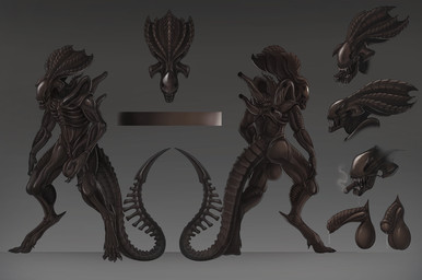 animal_genitalia balls black_body bodily_fluids front_view genital_fluids genitals male not_furry penis rear_view sheath simple_background tail creepy_gun alien_(franchise) alien xenomorph absurd_res digital_drawing_(artwork) digital_media_(artwork) hi_res model_sheet