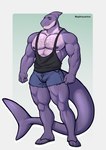 anthro beard body_hair bottomwear chest_hair cleavage_cutout clothing cutout facial_hair flip_flops footwear male muscular sandals shoes shorts solo standing ajdrawsnice gael_(audazzy) fish marine shark hi_res