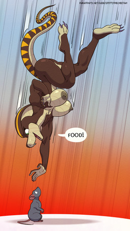 anthro breasts brown_body claws dialogue duo falling fangs female feral green_eyes long_claws looking_down looking_up nipples non-mammal_breasts non-mammal_nipples nude pounce teeth text toe_claws spotty_the_cheetah shandi cobra mammal murid murine rat reptile rodent scalie snake english_text hi_res