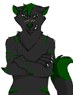 angry anthro black_body black_fur claws crossed_arms fur green_eyes green_hair green_markings green_nose grumpy hair head_tuft male markings scar simple_background solo stripes tail teeth tuft unknown_artist giano_"raven"_blakwulf canid canine canis mammal wolf absurd_res hi_res