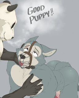 all_fours anthro bdsm black_body black_fur cigarette cigarette_in_mouth dominant dominant_anthro dominant_male duo erection eye_scar facial_scar fur genitals grey_background grey_body grey_fur male male/male muscular muscular_male muzzle_(object) muzzled nude object_in_mouth penis pet_praise petplay praise roleplay scar seductive simple_background submissive submissive_male text tongue tongue_out white_body white_fur wire_basket_muzzle taighet_28 beastars gouhin_(beastars) legoshi_(beastars) bear canid canine canis giant_panda mammal wolf 2022 absurd_res english_text hi_res