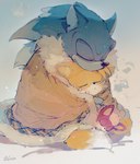 anthro bedding black_nose blanket blue_body blue_fur eyes_closed fangs fingers fur group hair inner_ear_fluff male red_body sleeping teeth trio tuft white_body white_fur white_hair yellow_body yellow_fur young c52278 sega sonic_the_hedgehog_(series) sonic_unleashed chip_(sonic) miles_prower sonic_the_hedgehog sonic_the_werehog canid canine eulipotyphlan fox hedgehog mammal werecreature wereeulipotyphlan werehog 2021 hi_res