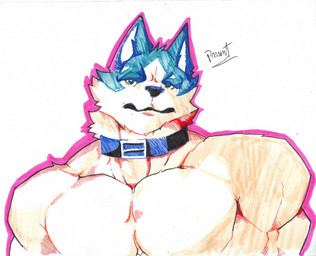 anthro barazoku blue_body blue_fur collar fur looking_at_viewer male mature_anthro mature_male muscular muscular_anthro muscular_male pecs solo pinumontbalou brand_new_animal studio_trigger shirou_ogami canid canine canis mammal wolf absurd_res hi_res
