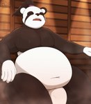 anthro big_penis bodily_fluids eyes_closed flaccid front_view genitals male open_mouth overweight overweight_male penis sauna solo sweat brick_break_after_dark freedom_planet galaxytrail general_gong bear giant_panda mammal absurd_res hi_res