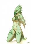 avian breasts female kneeling looking_at_viewer lost-paw nipples nude plain_background pussy solo white_background
Rating: Explicit
Score: 20
User: ippiki_ookami
Date: March 06, 2014