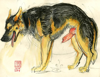 all_fours animal_genitalia animal_penis black_body black_fur black_nose bodily_fluids brown_eyes canine_genitalia canine_penis erection feral fur genital_fluids genitals knot male nude penis precum quadruped rounded_back side_view simple_background solo tail tan_body tan_fur tongue tongue_out white_background java canid canine canis domestic_dog mammal 2007 colored_sketch sketch