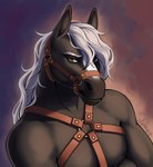 anthro fur gaze hair heavy male muscular solo stable straps tack white_hair elenmory draft_horse equid equine horse mammal hi_res portrait tagme