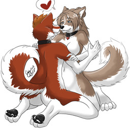 4_toes 5_fingers anthro anthro_on_anthro arm_tuft bangs bent_arm bent_leg black_collar black_nose black_pawpads blue_eyes breasts brown_body brown_fur brown_hair cheek_tuft collar collar_only collar_tag countershade_face countershade_fur countershade_tail countershade_torso countershading duo elbow_tuft eyebrow_through_hair eyebrows eyelashes face_to_face facial_markings facial_tuft facing_each_other feet female female_anthro fingers fluffy fluffy_tail foot_tuft fur fur_markings gloves_(marking) hair hand_on_arm hand_on_shoulder head_markings heart_collar_tag heart_symbol heart_tag heel_tuft humanoid_hands inner_ear_fluff intimate intraspecies kneeling looking_at_another looking_at_partner love male male/female male_anthro markings mouth_closed navel nose_to_nose nude nude_anthro nude_female nude_male pawpads paws pointy_ears prick_ears romantic romantic_couple simple_background speech_bubble tail tan_body tan_fur tan_hair tan_inner_ear_fluff toes translucent translucent_hair tuft white_background white_body white_fur white_inner_ear white_markings cyiakanami jessehusky canid canine canis domestic_dog husky mammal nordic_sled_dog spitz 1:1 digital_media_(artwork) signature