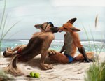 2021 4_toes 5_fingers anthro athletic athletic_anthro athletic_male ball beach biped black_body black_fur black_nose blue_clothing blue_speedo blue_swimwear brown_body brown_fur canid canine canis claws clothed clothing day detailed detailed_background digital_media_(artwork) digitigrade dipstick_ears dipstick_tail domestic_dog duo ears_back eyes_closed eyewear feet finger_claws fingers fluffy fluffy_tail fox french_kissing fur german_shepherd grass hand_on_knee hand_on_leg herding_dog inner_ear_fluff kissing licking licking_lips male male/male mammal markings multicolored_body multicolored_ears multicolored_fur multicolored_tail orange_body orange_fur outside pastoral_dog patreon patreon_logo pawpads paws pivoted_ears plant red_clothing red_fox red_speedo red_swimwear romantic romantic_couple sand sea seaside shoreline signature sky speedo speedo_only sunglasses swimwear swish tail tail_markings tan_body tan_fur tennis_ball text toes tongue tongue_out topless true_fox tuft url water wave whiskers white_body white_fur