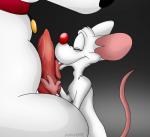 animal_genitalia animaniacs brian_griffin canine canine_penis collar dog family_guy gay johnofe knot licking male mammal mouse oral penis pinky pinky_and_the_brain rodent size_difference tongue tongue_out
Rating: Explicit
Score: 9
User: Pokelova
Date: November 09, 2013