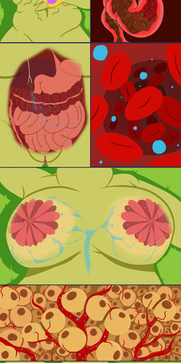 after_vore anatomy anthro big_breasts blood bodily_fluids breast_expansion breasts chyme death digestion expansion fatal_vore female grass guts internal intestines liver lying lying_on_grass mammary_glands nipples on_grass on_ground organs overweight plant rumbling_stomach solo soul_vore stomach stomach_acid text vein vore weight_gain flightlesslizard neopets turmaculus neopet_(species) 1:3 absurd_res comic english_text hi_res