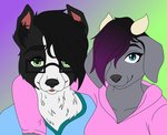 anthro duo eyewear female glasses male soff-t-bean rose_(rosethegoat) border_collie bovid canid canine canis caprine collie domestic_dog goat herding_dog mammal pastoral_dog sheepdog