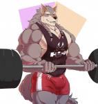 anthro barbell bicep_curl biceps bottomwear bulge clothing exercise fur looking_at_viewer male muscular muscular_anthro muscular_male pecs scar shirt shorts solo tank_top topwear weightlifting workout essentialryu canid canine canis mammal wolf 2019 digital_media_(artwork) hi_res