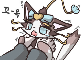 asphyxiation bodily_fluids crying female feral imminent_death simple_background tears white_background yuumisocute league_of_legends riot_games tencent yuumi_(lol) domestic_cat felid feline felis mammal 4:3 hi_res