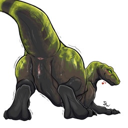 anus big_tail black_body blush butt countershade_body dripping_vulva female feral genitals green_body green_eyes heart_symbol presenting presenting_anus presenting_hindquarters presenting_vulva shaking simple_background solo tail trembling vulva white_background syrex_walker dinosaur dromaeosaurid prehistoric_species reptile saurischian scalie theropod utahraptor 1:1 digital_drawing_(artwork) digital_media_(artwork) hi_res