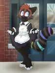 anthro big_ears big_eyes blush bottomwear clothed clothing clothing_lift crossed_legs dark_body dark_fur fishnet_clothing fur hair maid_uniform male multicolored_tail rainbow_tail red_hair skirt skirt_lift solo tail uniform unsure white_fingers white_toes roxyroo razumi 3:4 hi_res