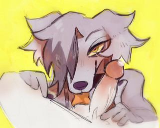 anthro balls bodily_fluids duo erection fellatio female fur genital_fluids genitals hair humanoid_genitalia looking_at_viewer male male/female nude oral penile penis sex simple_background tongue tongue_out esprit-arait candle_the_saluki canid canine canis domestic_dog hunting_dog mammal saluki sighthound digital_media_(artwork)
