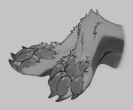 2023 ambiguous_gender anthro canid canine canis claws feet fluffy_paws foot_focus foot_shot fur hi_res hioshiru mammal monochrome pawpads paws simple_background solo toe_claws wolf