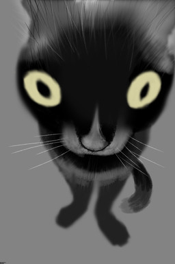 ambiguous_gender big_eyes black_body black_fur digitigrade feral front_view fur grey_background looking_at_viewer no_sclera pupils quadruped simple_background slit_pupils solo standing tail jiuqian jinx_the_cat domestic_cat felid feline felis mammal hi_res meme