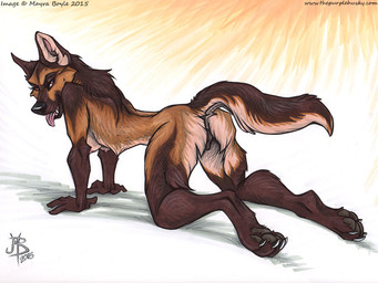 all_fours anatomically_correct anatomically_correct_pussy animal_genitalia anthro anus breasts butt canine canine_pussy dog erect_nipples female foxjump german_shepherd inviting kirsten looking_at_viewer mammal mayra_boyle nipples nude presenting presenting_hindquarters presenting_pussy pussy solo spread_legs spreading tongue tongue_out
Rating: Explicit
Score: 55
User: ippiki_ookami
Date: February 04, 2015 all_fours anatomically_correct anatomically_correct_pussy animal_genitalia anthro anus breasts butt canine canine_pussy dog erect_nipples female foxjump german_shepherd inviting kirsten looking_at_viewer mammal mayra_boyle nipples nude presenting presenting_hindquarters presenting_pussy pussy solo spread_legs spreading tongue tongue_out
Rating: Explicit
Score: 55
User: ippiki_ookami
Date: February 04, 2015