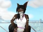 anthro biped clothed clothing female jewelry looking_at_viewer navel necklace outside smile solo standing sierraex sierra_(sierraex) canid canine fox mammal 4:3