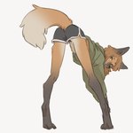 anthro athletic_wear bent_over black_bottomwear black_clothing black_shorts bottomwear brown_body brown_fur butt clothing female fluffy fluffy_tail fur green_clothing green_hoodie green_topwear gym_bottomwear gym_shorts hoodie leaning leaning_forward long_legs looking_at_viewer looking_back looking_back_at_viewer open_mouth orange_body orange_fur shorts slim solo stretching tail topwear white_body white_fur yellow_eyes yellow_sclera tateoftot canid canine mammal maned_wolf hi_res