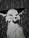 cheek_piercing cheek_tuft dimple_piercing eyes_closed facial_tuft feral fur piercing raining simple_background smile solo tuft falvie the_fox_(falvie) canid canine fox mammal 2024 digital_media_(artwork) hi_res monochrome signature