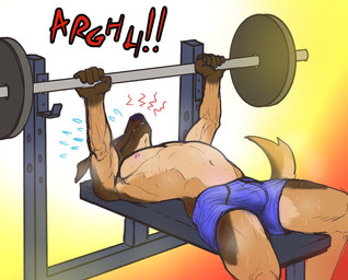 anthro athletic athletic_anthro athletic_male barbell bench_press bodily_fluids bulge clothing detailed_bulge exercise eyes_closed genital_outline lying male navel nipples on_back pecs penis_outline simple_background solo sweat text underwear weightlifting workout nubruki_(artist) bruki_(character) canid canine canis domestic_dog mammal 2021