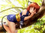 black_body black_fur brown_hair clothed clothing collar day eyes_closed female footwear fur hair inner_ear_fluff legwear light_body light_skin orange_hair outside plant red_hair sleeping socks solo tree tuft white_body white_fur young ninamo huniepop momo_(huniepop) animal_humanoid cat_humanoid felid felid_humanoid feline feline_humanoid humanoid mammal mammal_humanoid 4:3 hi_res