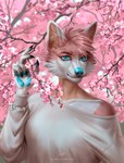 anthro black_claws blue_eyes blue_nose blue_pawpads claws clothed clothing female finger_claws fingerpads front_view fur glistening glistening_eyes hair looking_at_viewer mouth_closed orange_body orange_fur pawpads pink_body pink_fur pink_hair solo text white_body white_fur marie_merkh canid mammal artist_name half-length_portrait hi_res portrait signature