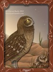 ambiguous_gender brown_body brown_feathers cactus desert feathers feral grass picture_frame plant shell sky solo star yellow_eyes bubsyart guardians_of_ga'hoole digger_(gogh) athene_(genus) avian bird burrowing_owl owl true_owl 2013 hi_res male_(lore)