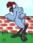 ambiguous_gender anthro beak butt feathers feet half-closed_eyes male narrowed_eyes open_mouth shaking_butt simple_background simple_coloring soles solo tail tail_feathers talons toes tongue tongue_out pteri_(artist) pteri_(character) antigone_(genus) avian bird crane_(bird) gruiform sandhill_crane hi_res