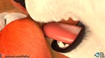 anal anal_penetration anthro anus close-up duo genitals male male/male oral penetration rimming sex size_difference stretching text tongue conditional_dnp pxlfur bear canid canine fox mammal polar_bear ursine 16:9 3d_(artwork) digital_media_(artwork) hi_res url widescreen