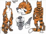 animal_genitalia animal_penis anthro balls biped black_penis blue_eyes canine_genitalia canine_penis digitigrade disembodied_penis erection featureless_crotch fur genitals grey_knot grey_penis knot looking_at_viewer male nude open_mouth orange_body orange_fur penis simple_background solo standing stripes tail teeth tongue tongue_out white_background fancymisslady hirokun_rau canid canine felid fox hybrid mammal pantherine tiger 2011 model_sheet