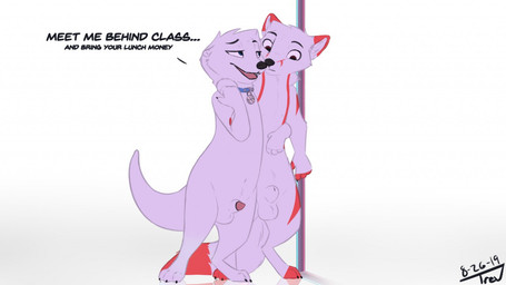 animal_genitalia anthro balls blue_eyes brown_eyes collar digitigrade dipstick_ears dipstick_tail duo ear_markings fully_sheathed fur genitals male markings multicolored_ears penis penis_tip pole red_body red_fur sheath simple_background stripper_pole tail tail_markings text white_body white_fur trevart pebble_(letodoesart) trev_(trevart) canid canine fox mammal mustelid otter 16:9 english_text widescreen