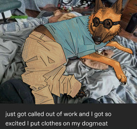 bed black_nose bottomwear brown_body brown_bottomwear brown_clothing brown_fur brown_pants clothed clothed_feral clothing eyewear feral fur furniture goggles lying lying_on_bed male on_bed pants paws photo_background shirt snout solo teal_clothing teal_shirt teal_topwear text topwear wearing_goggles fordowner fallout microsoft dogmeat canid canine canis domestic_dog german_shepherd herding_dog mammal pastoral_dog english_text hi_res mixed_media photography_(artwork)