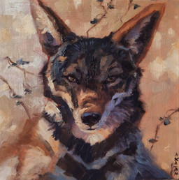 ambiguous_gender feral solo akatan_art canid canine canis coyote mammal hi_res oil_painting_(artwork) painting_(artwork) traditional_media_(artwork) traditional_painting_(artwork)