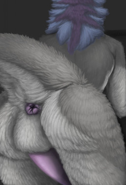 anthro anus balls blue_body blue_fur butt erection fur genitals male penis perineum pink_anus pink_penis presenting presenting_anus presenting_hindquarters raised_tail solo tail tail_anus thick_tail tenlina sergal hi_res