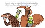 anteater anthro claws comic digital_media_(artwork) english_text finger_claws giant_anteater green_claws keaze long_snout makeup mammal paint painting pangolin pilosan simple_background snout text wikipedia xenarthran